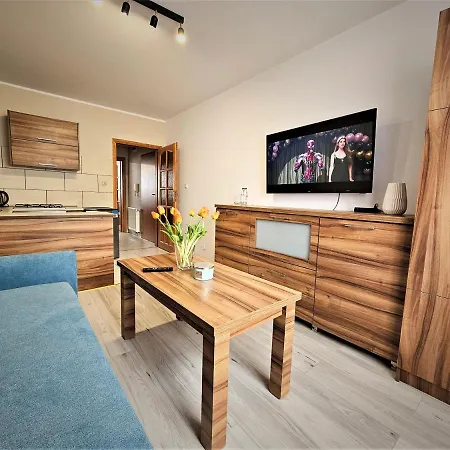 Apartment Haller *